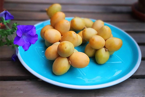 تصویر 2 از خرید و فروش خرمای خریک با شرایط فوق العاده